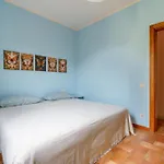 Vigna Nuova Third Floor